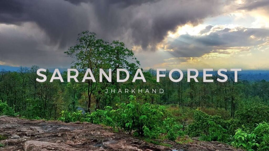 Saranda Sanctuary