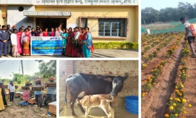 From Coal to Communities