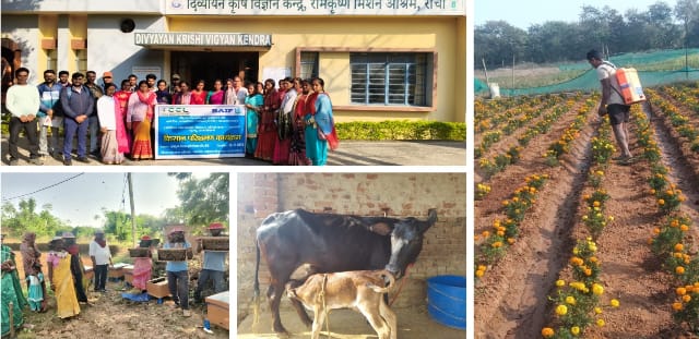 From Coal to Communities