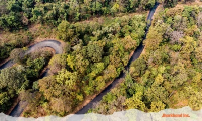 Jharkhand to host National Forestry Congress for the first time