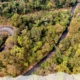 Jharkhand to host National Forestry Congress for the first time
