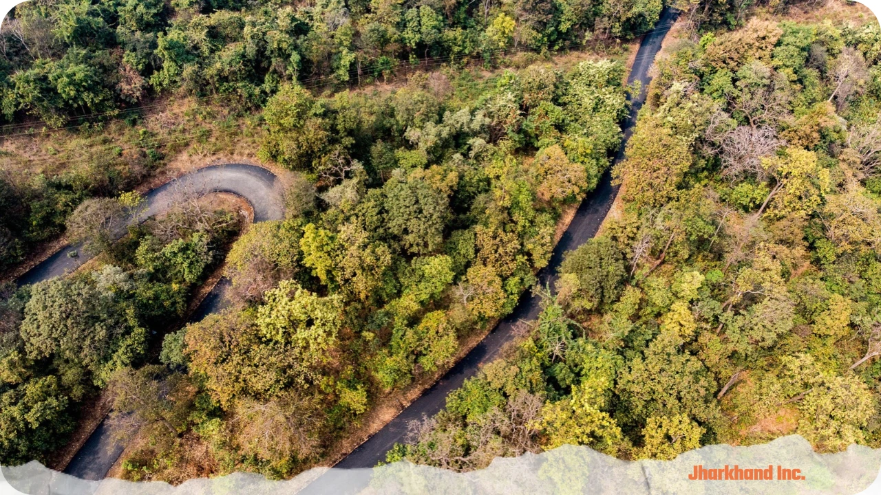 Jharkhand to host National Forestry Congress for the first time
